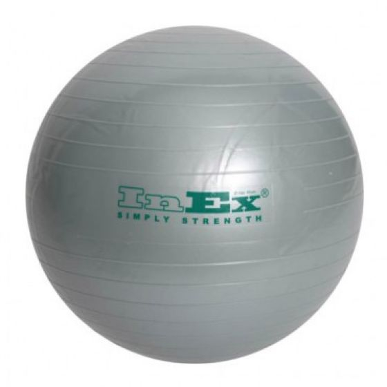 Гимнастический мяч INEX Swiss ball, диаметр: 65 см (серебряный) Заказать Гимнастический мяч INEX Swiss ball, диаметр: 65 см (серебряный)